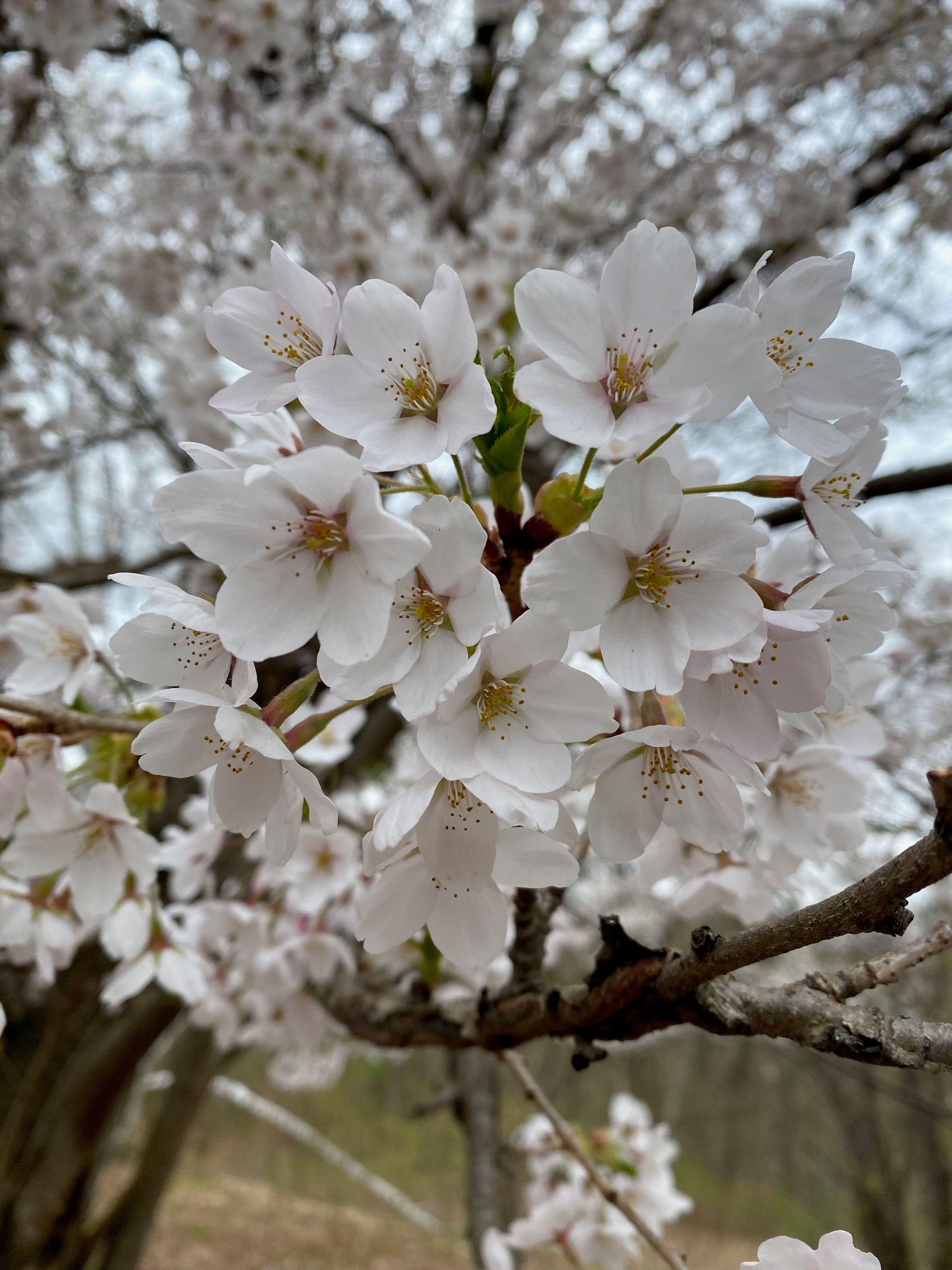 Seasonal Workshops