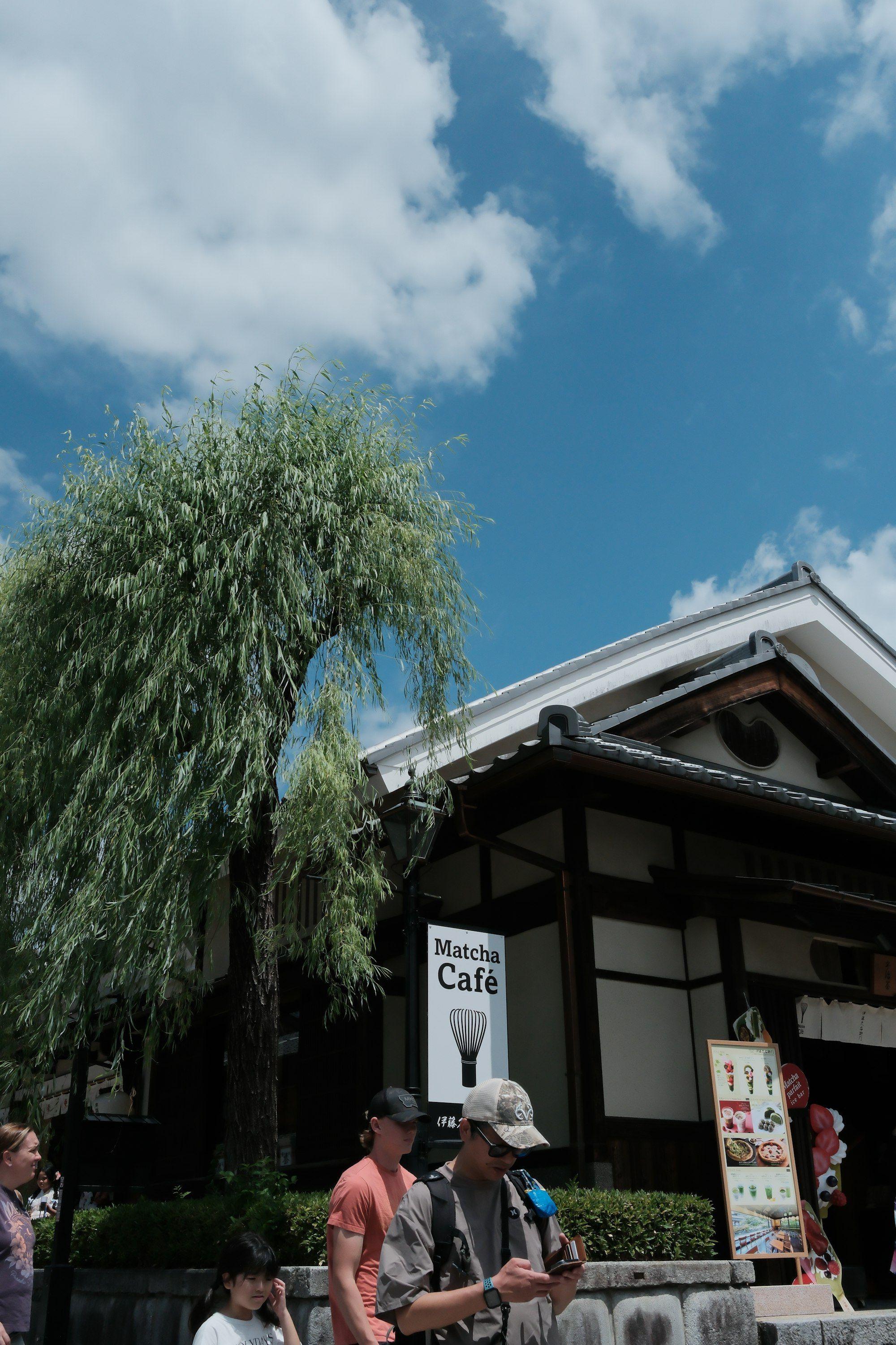 A traditional wooden matcha café under a willow tree on a sunny day in Japan